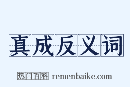 真成反义词是什么意思的图片